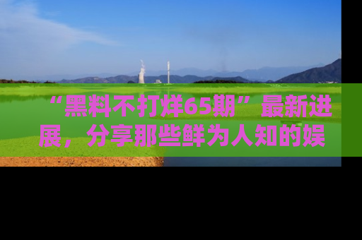 “黑料不打烊65期”最新进展,分享那些鲜为人知的娱乐八卦