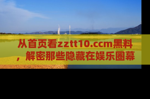 从首页看zztt10.ccm黑料，解密那些隐藏在娱乐圈幕后的丑闻故事！