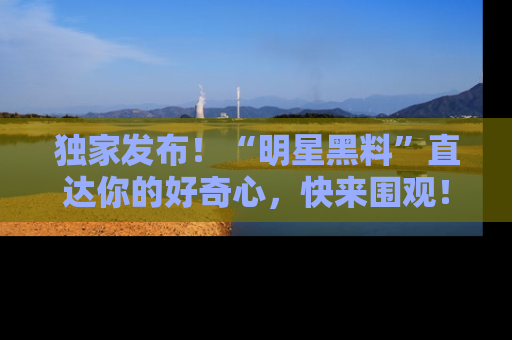 独家发布！“明星黑料”直达你的好奇心，快来围观！