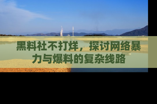 黑料社不打烊，探讨网络暴力与爆料的复杂线路
