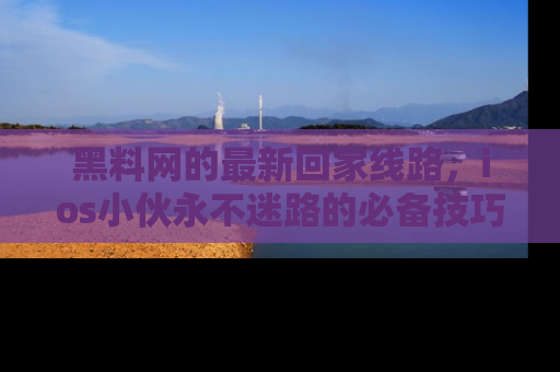 黑料网的最新回家线路，ios小伙永不迷路的必备技巧！