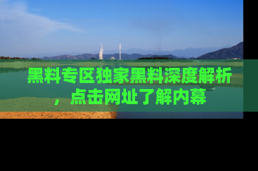 黑料专区独家黑料深度解析，点击网址了解内幕