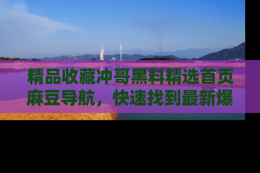精品收藏冲哥黑料精选首页麻豆导航，快速找到最新爆料