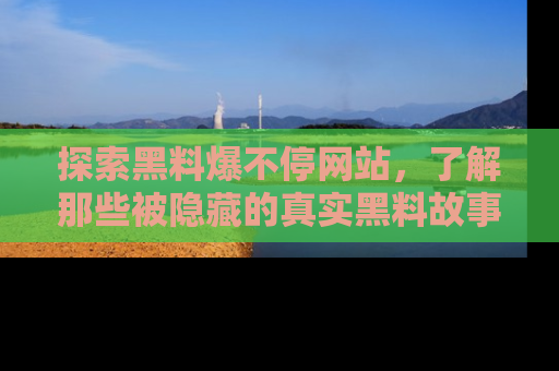 探索黑料爆不停网站，了解那些被隐藏的真实黑料故事