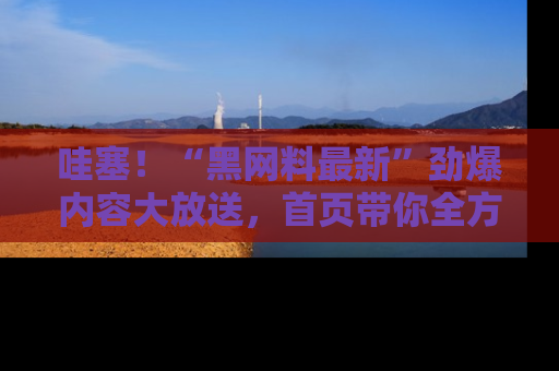 哇塞!“黑网料最新”劲爆内容大放送,首页带你全方位了解哦,小可爱们