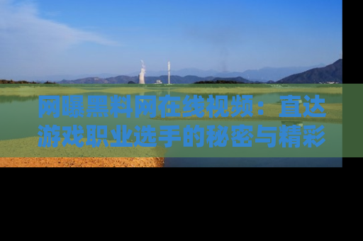网曝黑料网在线视频：直达游戏职业选手的秘密与精彩动漫片段！