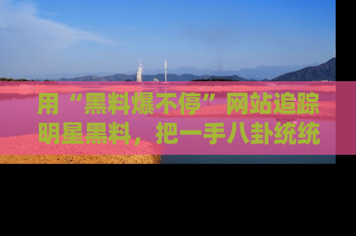 用“黑料爆不停”网站追踪明星黑料,把一手八卦统统收进你的后宫中!