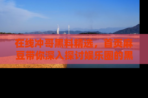 在线冲哥黑料精选，首页麻豆带你深入探讨娱乐圈的黑暗面