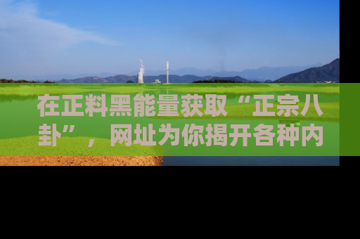 在正料黑能量获取“正宗八卦”,网址为你揭开各种内幕故事!