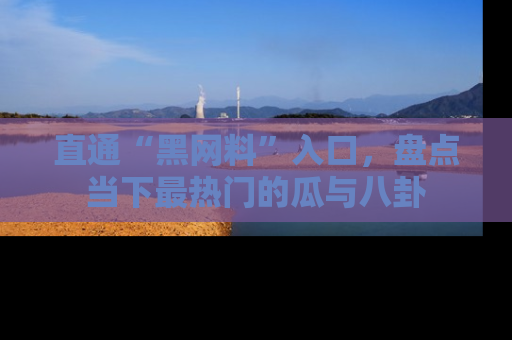 直通“黑网料”入口,盘点当下最热门的瓜与八卦