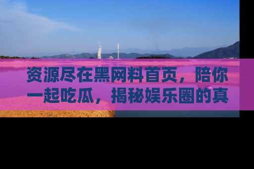 资源尽在黑网料首页,陪你一起吃瓜,揭秘娱乐圈的真实内幕